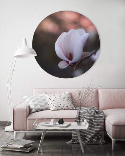 Magnolia - Mayra Fotografie