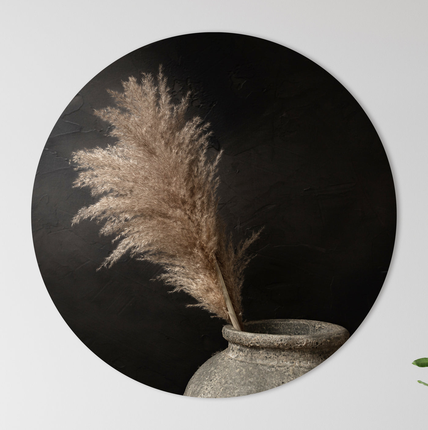 Donker stilleven met pampas pluimen in stenen kruik - Mayra Fotografie