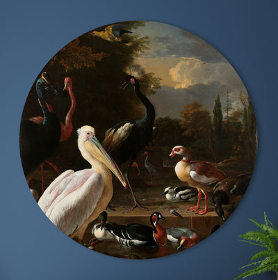 La plume flottante - Melchior d'Hondecoeter