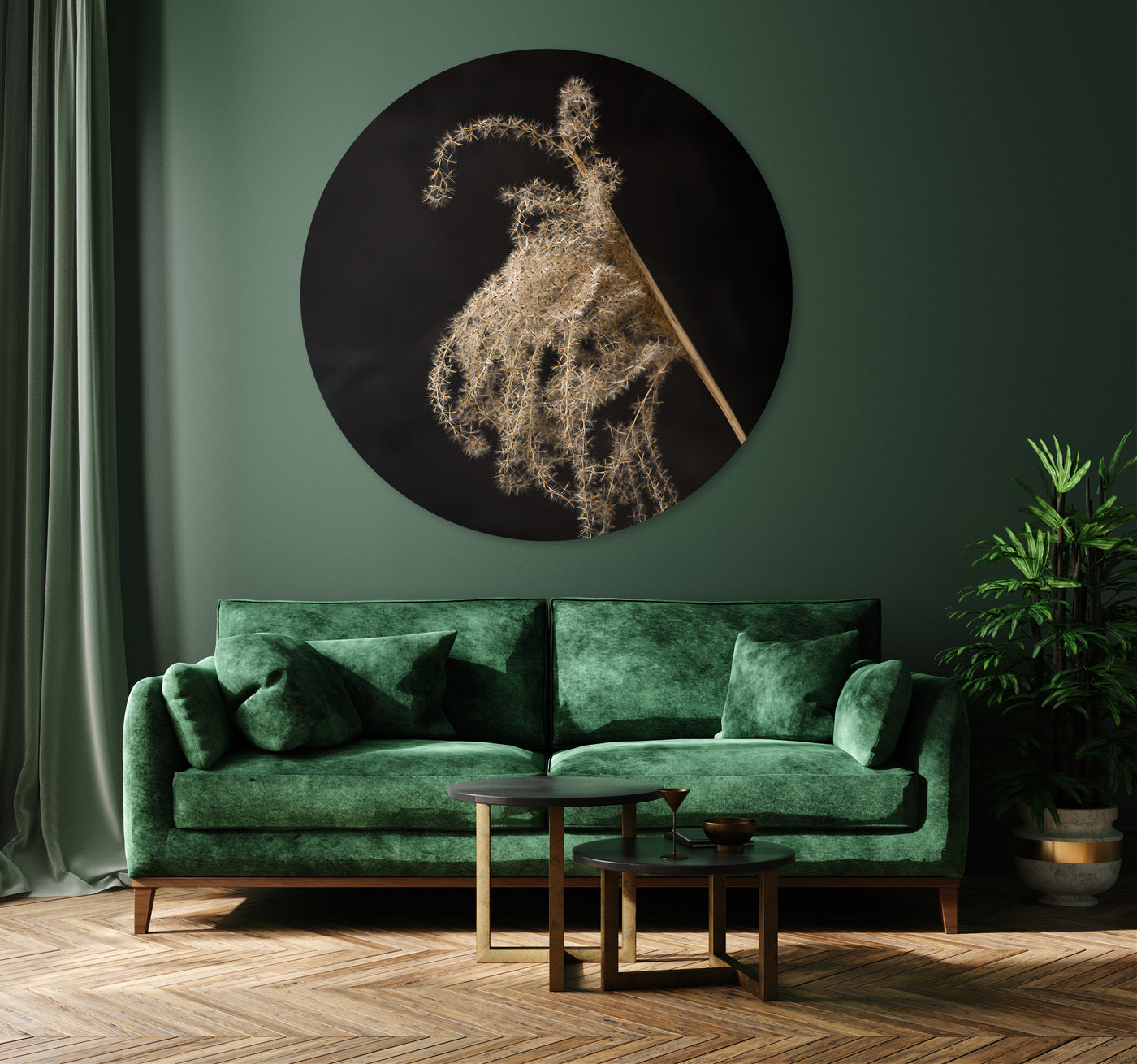 Lichtval op pluizige rietpluim - Mayra Fotografie