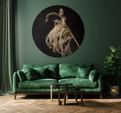 Lichtval op pluizige rietpluim - Mayra Fotografie