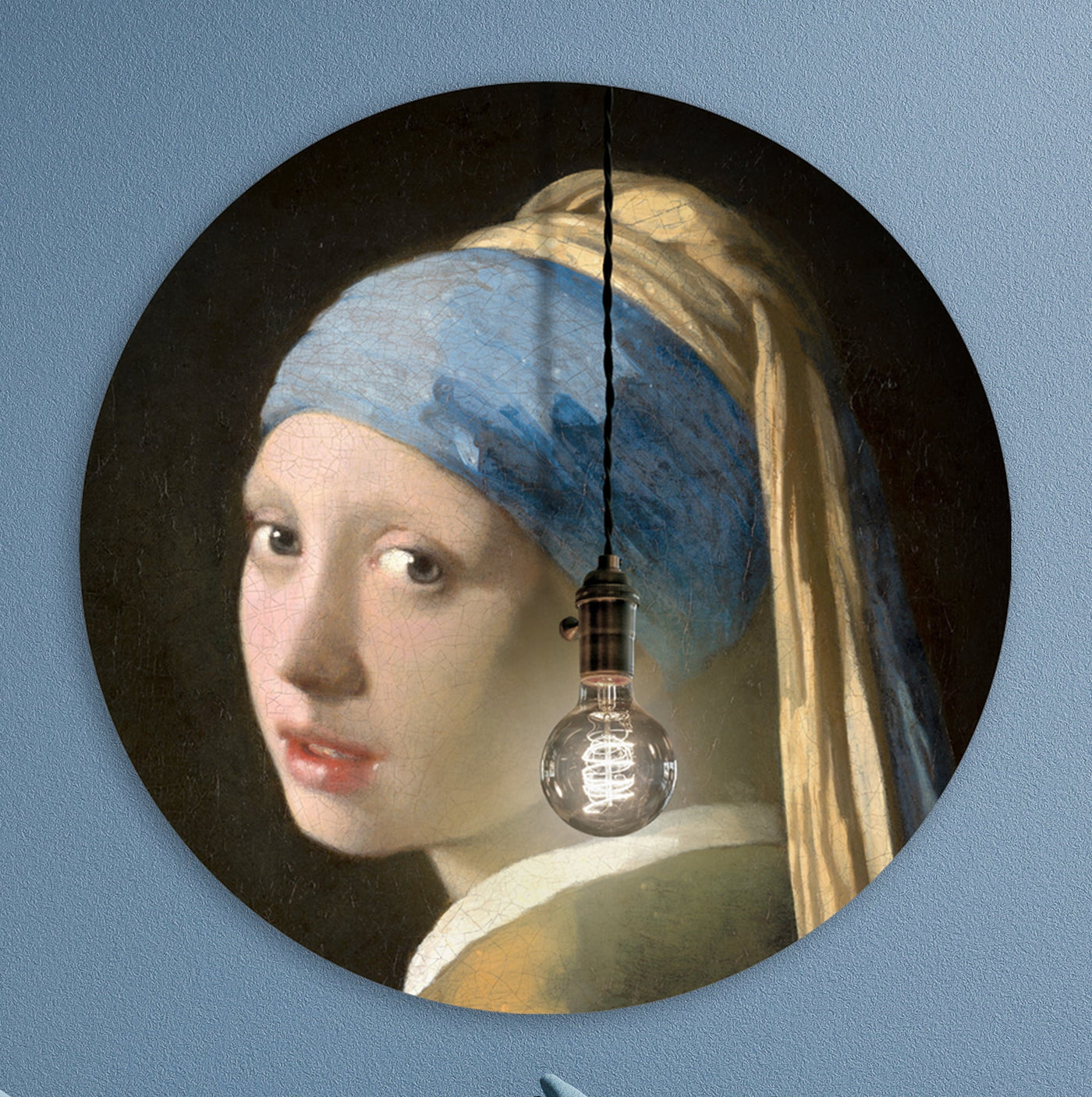La fille à la perle éclairée - Marja van den Hurk