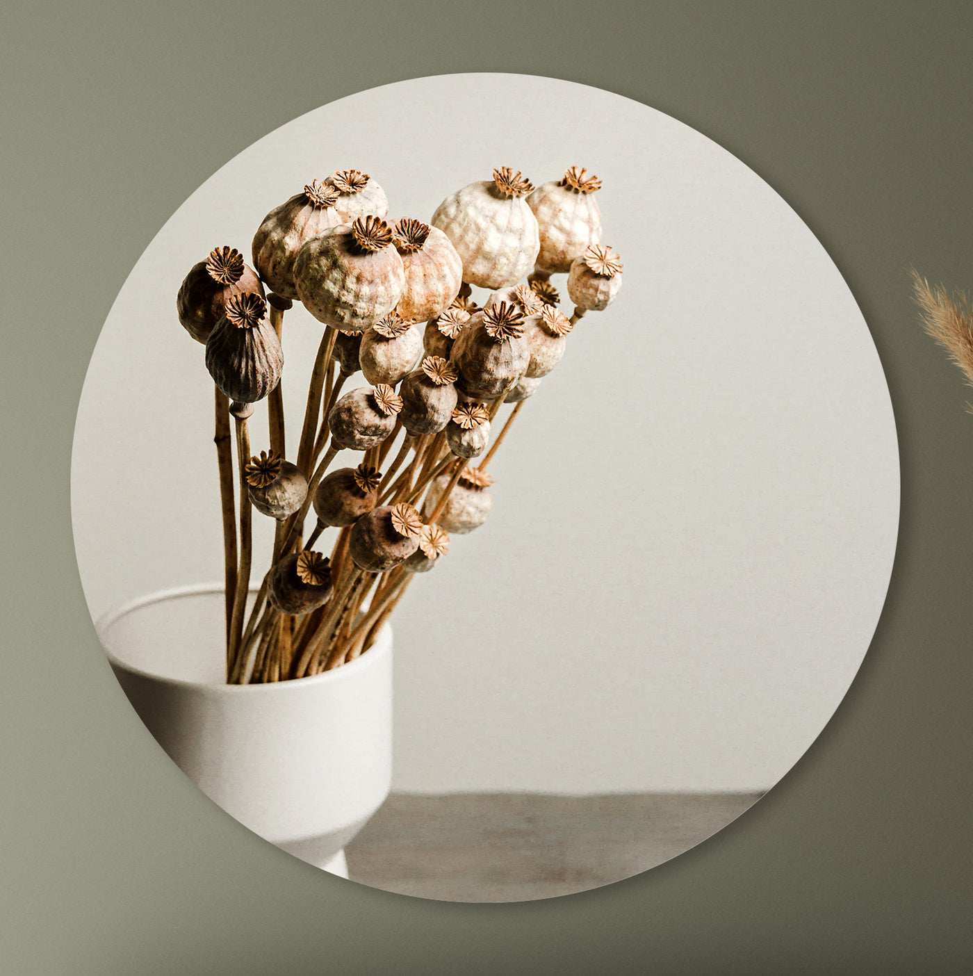 Stilleven met gedroogde papaverbollen - Mayra Fotografie