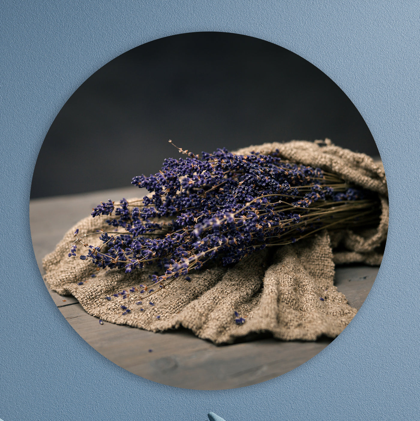 Stilleven met lavendel en shabby doek - Mayra Fotografie