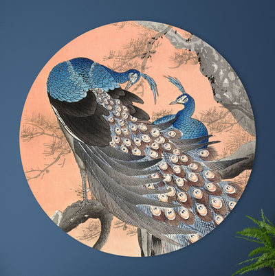 Deux paons - Ohara Koson