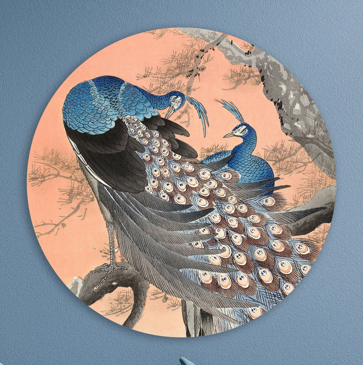 Deux paons - Ohara Koson