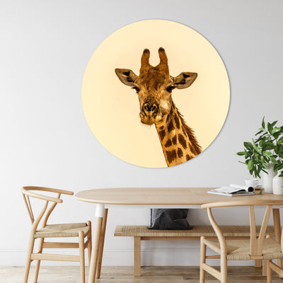 Joyeuse Girafe