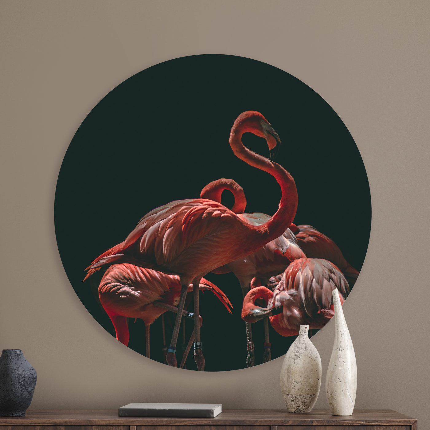 La famille Flamingo